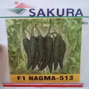 Nagma F1 Chilli 1