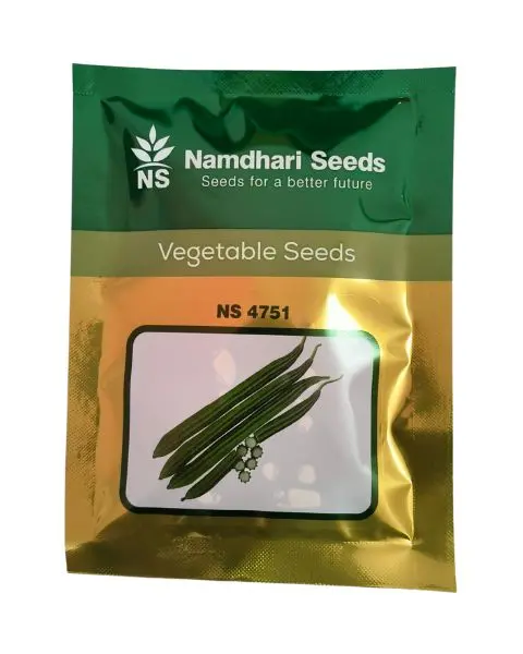Ns 4751 F1 Hybrid Ridge Gourd Seeds 1