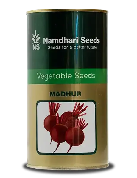 Namdhari Madhur Beetroot Seeds – Round, Dark Red Roots With High Yield 1