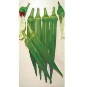 Ns 858 Bhendi (Okra) ( एनएस 858 भिंडी ) 1