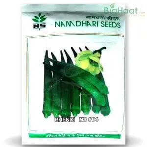Ns 864 Bhendi (Okra) ( एनएस 864 भिंडी ) 1