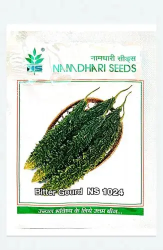 Ns 1024 F1 Hybrid Bitter Gourd Seeds 1
