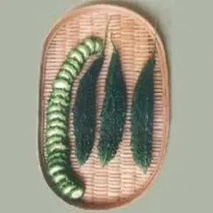 Ns 454 Bitter Gourd ( एन एस 454 करेला ) 1