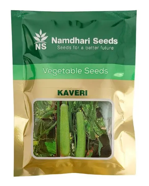 Kaveri F1 Hybrid Bottle Gourd Seeds - High Yielding | Namdhari Seeds 1