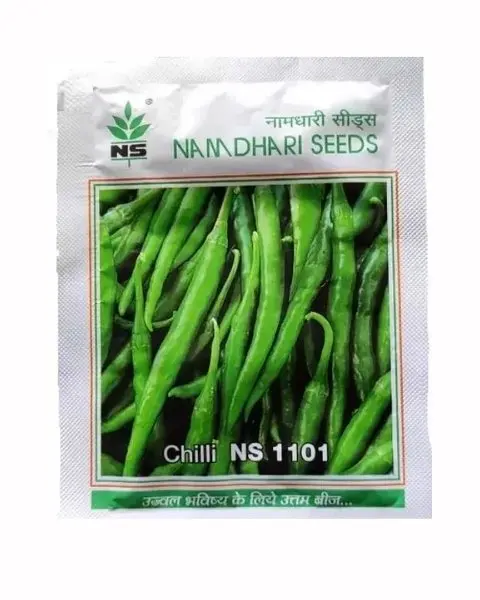 Ns 1101 F1 Hybrid Chilli Seeds 1