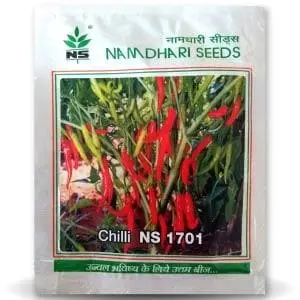 Ns 1701 Chilli Seeds 1