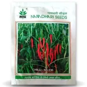 Ns 230 Chilli Seeds - Tall, Virus Tolerant, Light Green Fruit 1