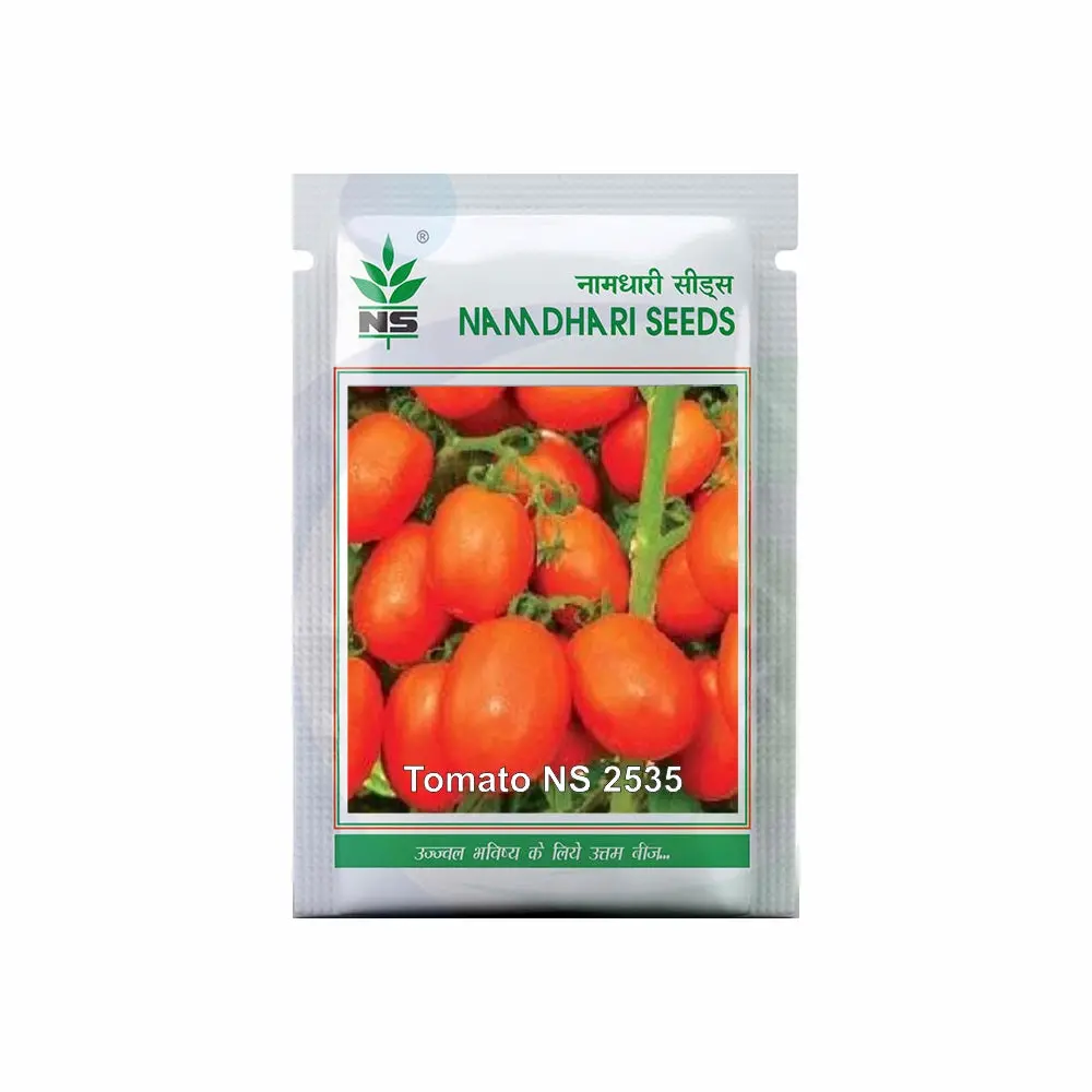 Ns 2535 F1 Hybrid Tomato Seeds - Early Maturity, Oval, Glossy Red Fruits 1