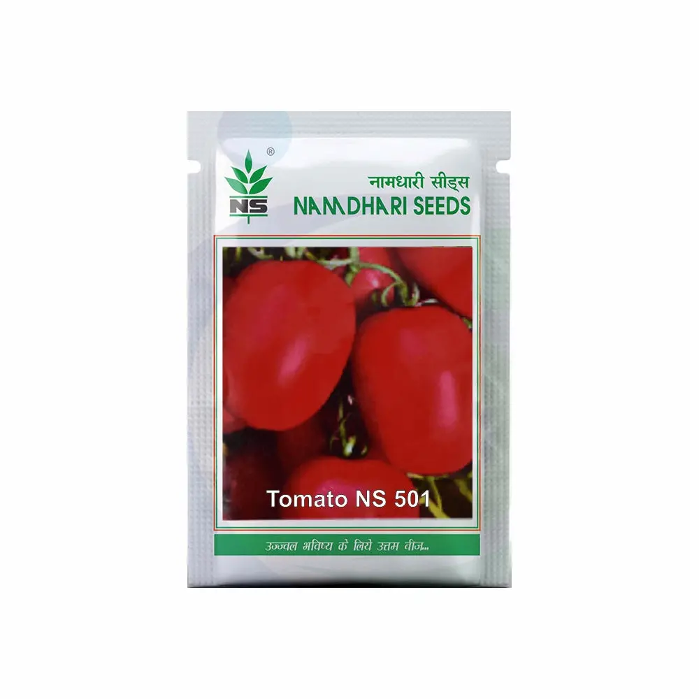 Ns 501 F1 Hybrid Tomato Seeds - Determinate, Medium Red, Oval, Firm Fruit 1