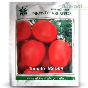 Ns 504 (Ns 104) Tomato (एन एस 504) 1