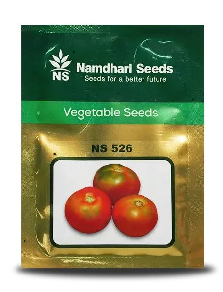 Ns 526 Gs Hybrid Tomato Seeds By Namdhari – High-Yielding Variety With Tlcv & Cold Tolerance 1