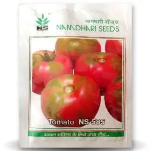 Ns 585 F1 Hybrid Tomato Seeds - Tall, Flat Round, High Yield, Tlcv Tolerant 1