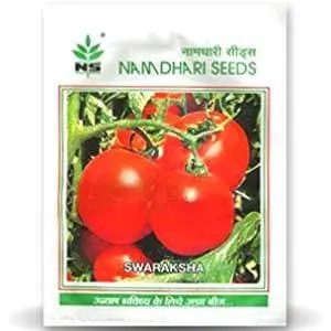 Swaraksha Tomato ( स्वरक्षा टमाटर ) 1