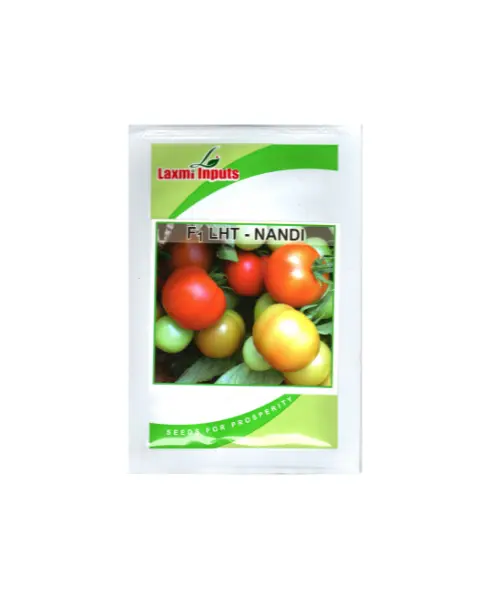 Nandi F1 Lht Tomato Seeds 1