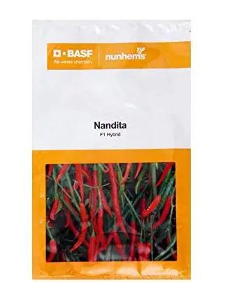 Nandita Chilli Seeds - Sturdy, Shiny, Long-Lasting Fruits 1