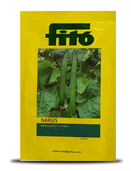 Nargis Ridge Gourd Seeds - Dark Green, Cylindrical, High Yield 1