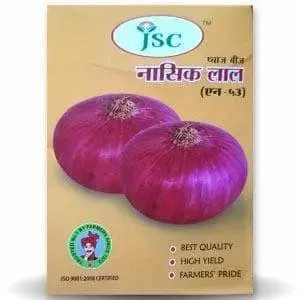 Jsc Nasik Red Onion Seeds N-53 - Medium Red, Flat Oval, High Yield 1