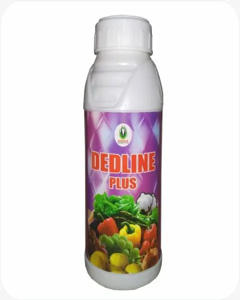 Nathsagar Dedline Plus 1