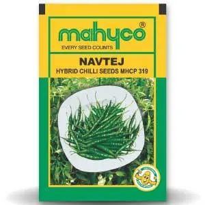 Navtej Mhcp-319 Chilli 1