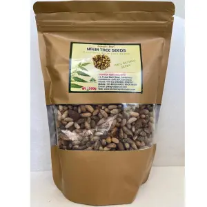 Pioneer Agro Neem Tree Seed (Azadirachta Indica) Seeds 1