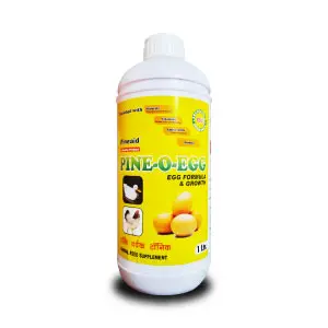 Ng Pine O Egg (Nutrients For Livestock) 1