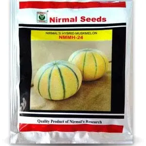 Nirmal 24 Muskmelon 1