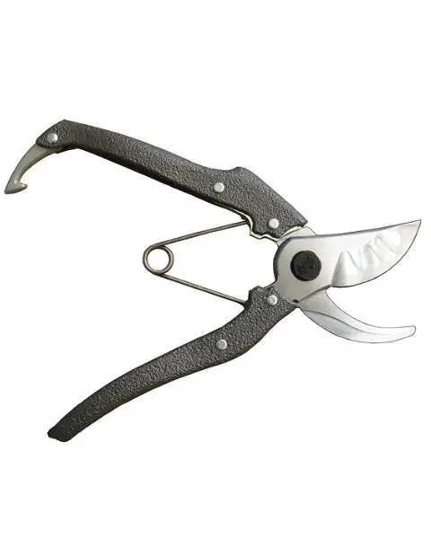 Svvas Nishigaki Professional Pruning Secateurs (N 203) Made In Japan 1