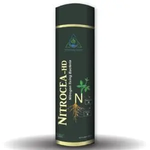 Nitrocea - Hd (Nitrogen Fixing Bacterial Bio-Fertilizer) 1