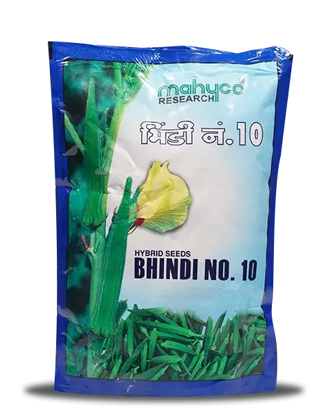 Mahy No. 10 Bhendi Seeds – High Yield & Tender Dark Green Fruits 1