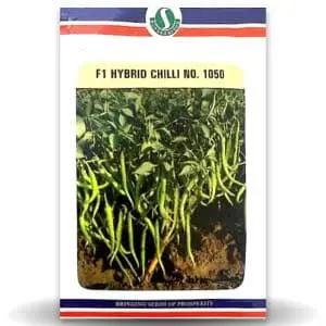 Sungro Chilli Seeds No. 1050 1