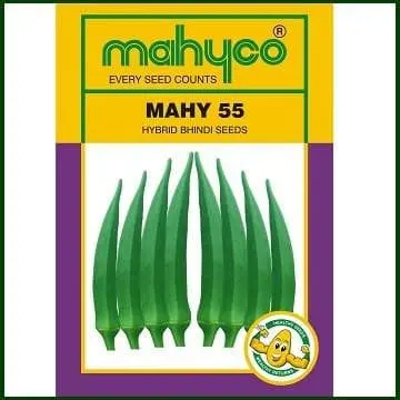 Mahy 55 Okra ( माहिको नंबर 55 भिंडी ) 1