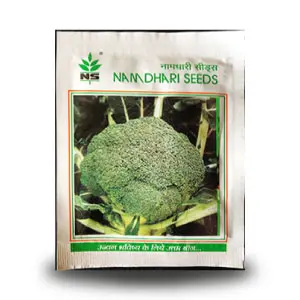 Ns 1253 Broccoli 1