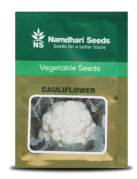 Ns 1448 F1 Hybrid Cauliflower Seeds – High-Yielding Creamy White Variety 1
