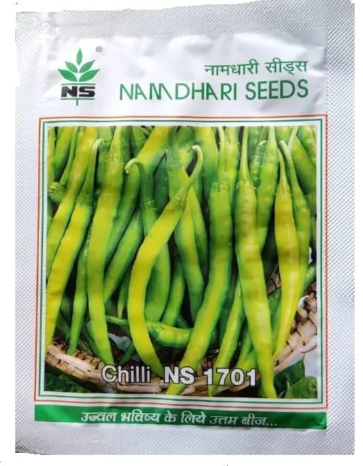 Ns 1701 F1 Chilli Seeds - Tall, Virus Tolerant, Very High Pungency 1