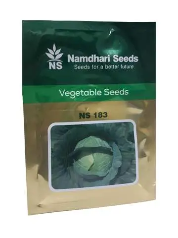 Ns 183 F1 Hybrid Cabbage Seeds – Dark Green, Round Heads 1