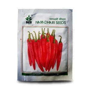 Ns 1840 Chilli Seeds 1