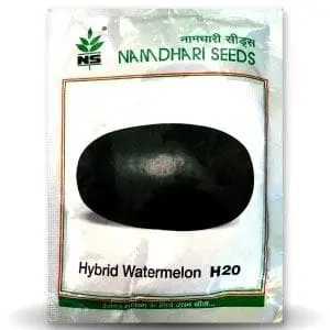 Ns 20 Watermelon (H 20 Watermelon) 1