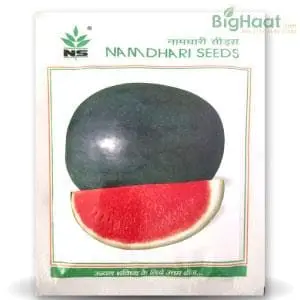 Ns 200 Watermelon Seeds 1