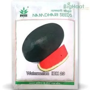 Ns 23 Watermelon (Ibh 23 Watermelon) 1