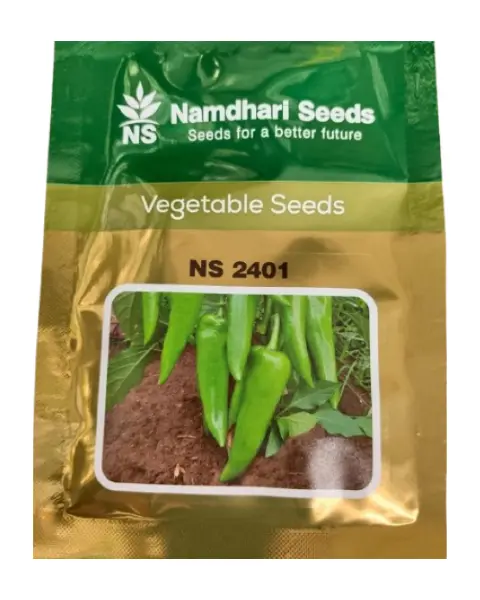 Ns 2401 Chilli Seeds 1