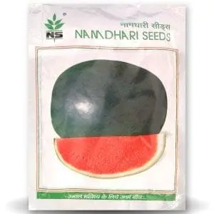 Ns 252 Watermelon 1