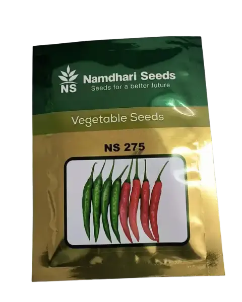 Ns 275 Chilli Seeds 1