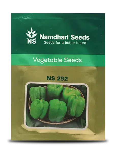 Ns 292 F1 Hybrid Capsicum Seeds 1
