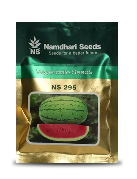 Ns 295 Watermelon Seeds - F1 Hybrid & High Quality 1