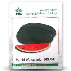 Ns 34 Watermelon Seeds 1