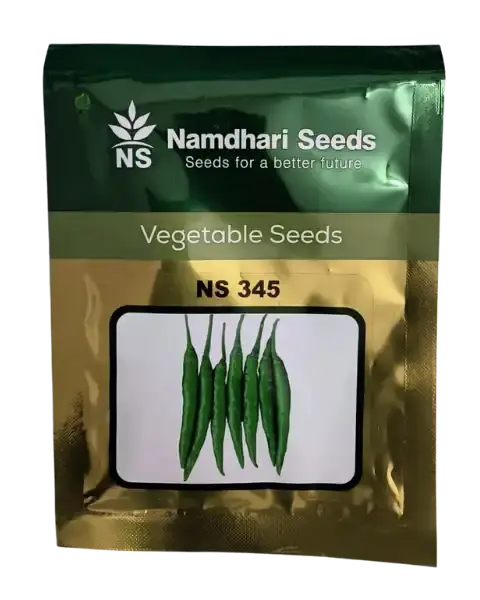 Ns 345 Chilli Seeds 1