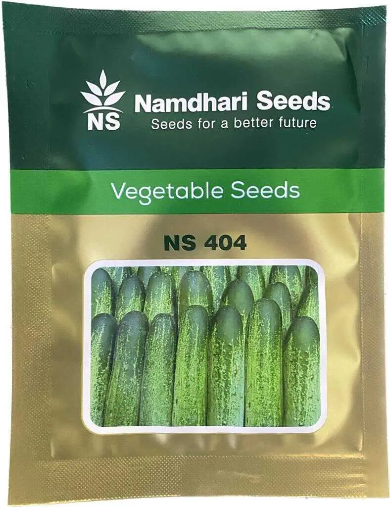 Ns 404 F1 Hybrid Cucumber Seeds - High Yield Variety | Namdhari Seeds 1