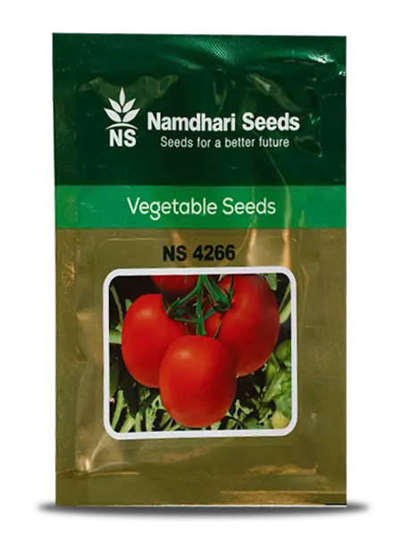 Ns 4266 F1 Hybrid Tomato Seeds – Deep Red Fruits For Kharif & Rabi 1
