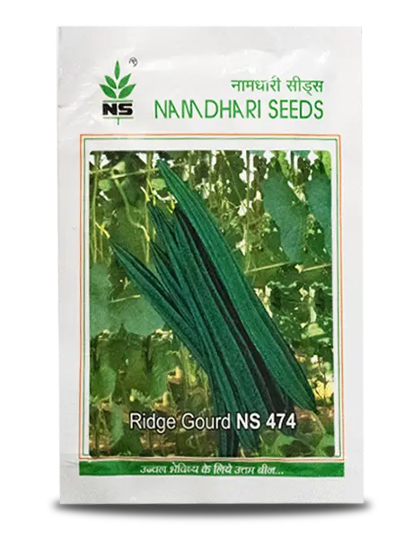 Ns 474 F1 Hybrid Ridge Gourd Seeds - Rapid Growth, Strong, High Yield 1