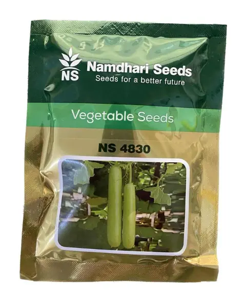 Ns 4830 (F1) Bottle Gourd 1